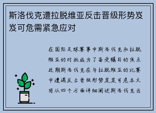 斯洛伐克遭拉脱维亚反击晋级形势岌岌可危需紧急应对